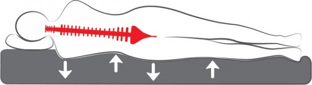 Der richtige Matratzen Härtegrad schont die Rücken Wirbelsäule
